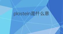 plastein是什么意思 plastein的中文翻译、读音、例句