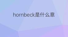 hornbeck是什么意思 hornbeck的中文翻译、读音、例句