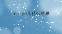 feingle是什么意思 feingle的中文翻译、读音、例句