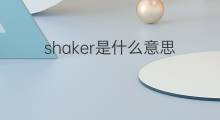 shaker是什么意思 shaker的中文翻译、读音、例句