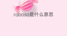 raboso是什么意思 raboso的中文翻译、读音、例句