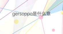 gersoppa是什么意思 gersoppa的中文翻译、读音、例句