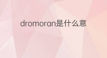 dromoran是什么意思 dromoran的中文翻译、读音、例句