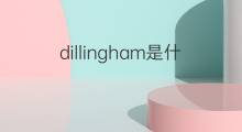 dillingham是什么意思 英文名dillingham的翻译、发音、来源