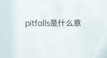 pitfalls是什么意思 pitfalls的中文翻译、读音、例句
