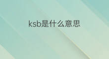 ksb是什么意思 ksb的中文翻译、读音、例句