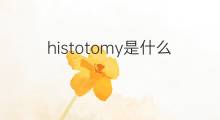 histotomy是什么意思 histotomy的中文翻译、读音、例句