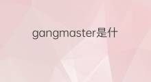 gangmaster是什么意思 gangmaster的中文翻译、读音、例句