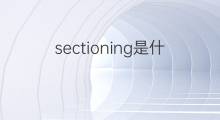 sectioning是什么意思 sectioning的中文翻译、读音、例句