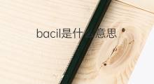 bacil是什么意思 bacil的中文翻译、读音、例句