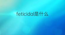 feticidal是什么意思 feticidal的中文翻译、读音、例句