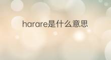 harare是什么意思 harare的中文翻译、读音、例句