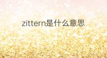 zittern是什么意思 zittern的中文翻译、读音、例句
