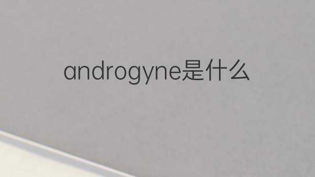 androgyne是什么意思 androgyne的中文翻译、读音、例句
