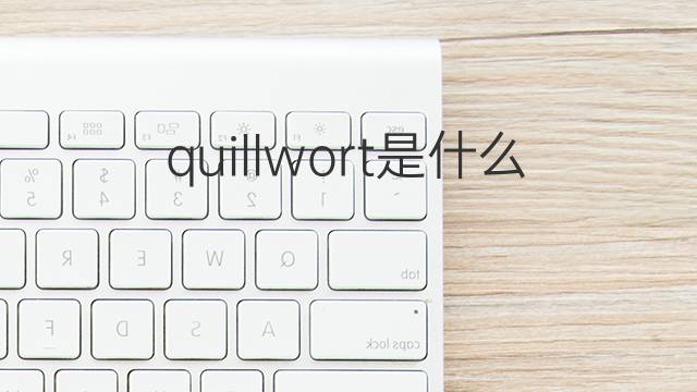 quillwort是什么意思 quillwort的中文翻译、读音、例句