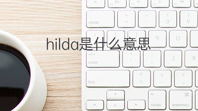 hilda是什么意思 hilda的中文翻译、读音、例句