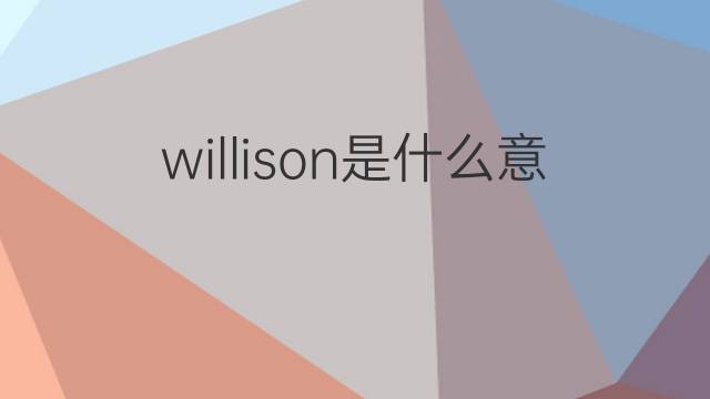 willison是什么意思 willison的中文翻译、读音、例句