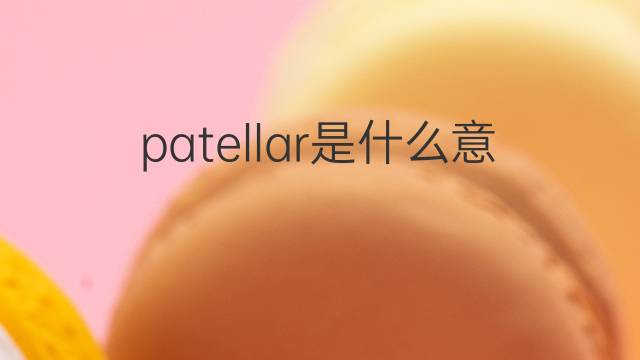 patellar是什么意思 patellar的中文翻译、读音、例句