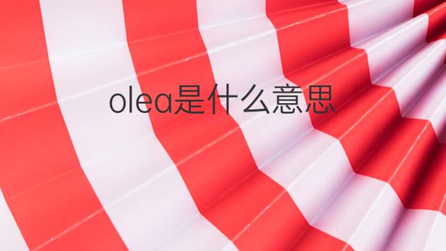 olea是什么意思 olea的中文翻译、读音、例句