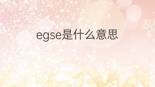 egse是什么意思 egse的中文翻译、读音、例句