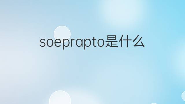 soeprapto是什么意思 soeprapto的中文翻译、读音、例句