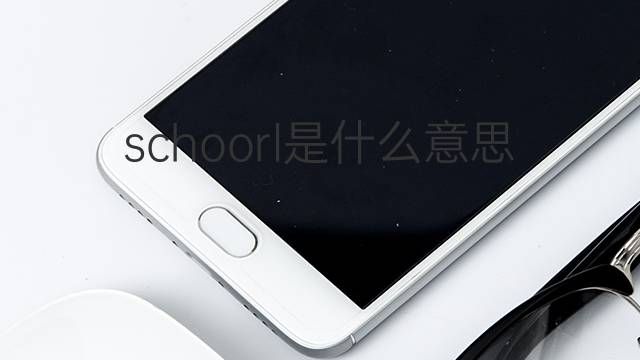 schoorl是什么意思 schoorl的中文翻译、读音、例句