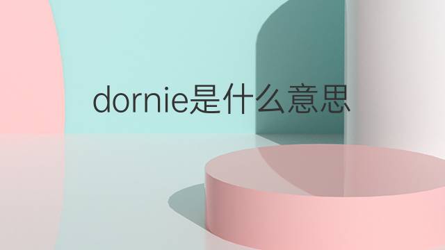 dornie是什么意思 dornie的中文翻译、读音、例句