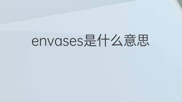 envases是什么意思 envases的中文翻译、读音、例句