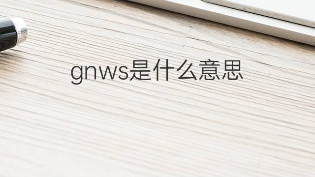 gnws是什么意思 gnws的中文翻译、读音、例句