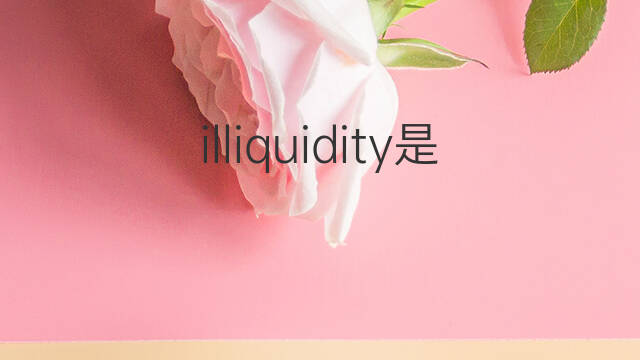 illiquidity是什么意思 illiquidity的中文翻译、读音、例句