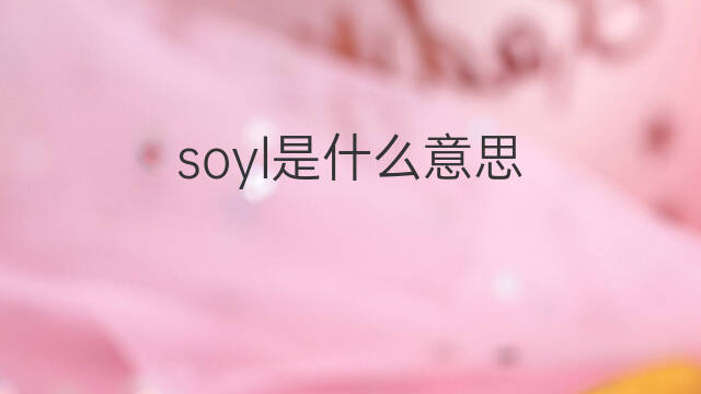 soyl是什么意思 soyl的中文翻译、读音、例句