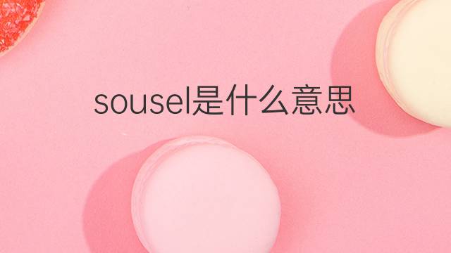 sousel是什么意思 sousel的中文翻译、读音、例句