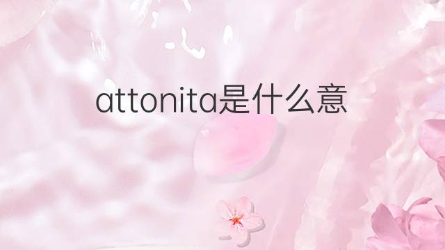 attonita是什么意思 attonita的中文翻译、读音、例句