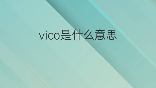 vico是什么意思 vico的中文翻译、读音、例句