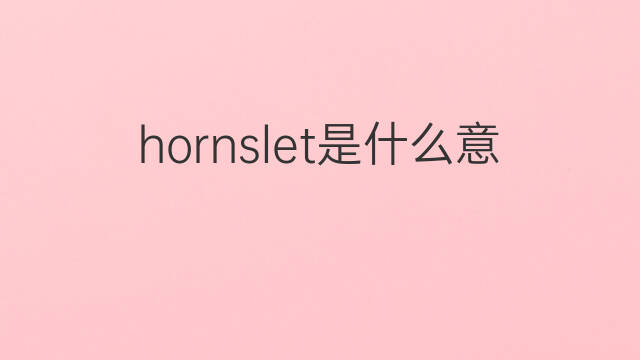 hornslet是什么意思 hornslet的中文翻译、读音、例句