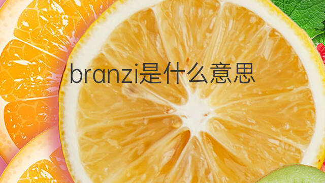 branzi是什么意思 branzi的中文翻译、读音、例句