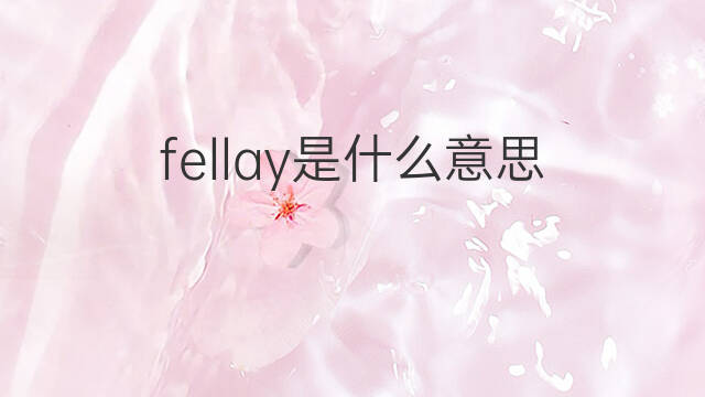 fellay是什么意思 fellay的中文翻译、读音、例句
