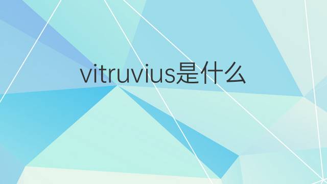 vitruvius是什么意思 vitruvius的中文翻译、读音、例句