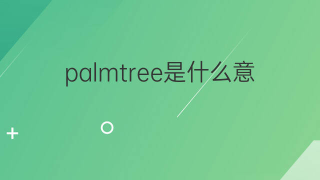 palmtree是什么意思 palmtree的中文翻译、读音、例句