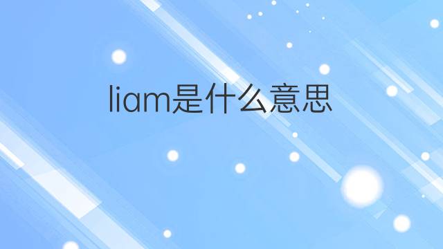 liam是什么意思 liam的中文翻译、读音、例句
