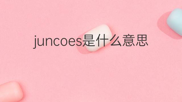 juncoes是什么意思 juncoes的中文翻译、读音、例句