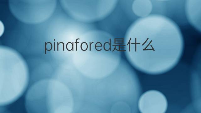 pinafored是什么意思 pinafored的中文翻译、读音、例句
