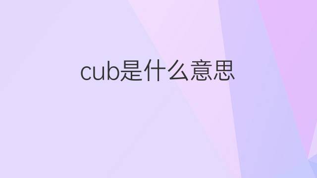 cub是什么意思 cub的中文翻译、读音、例句