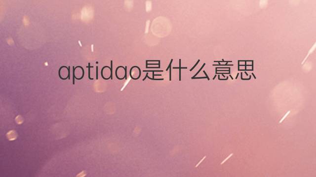 aptidao是什么意思 aptidao的中文翻译、读音、例句