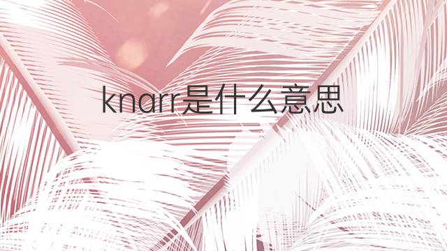 knarr是什么意思 knarr的中文翻译、读音、例句