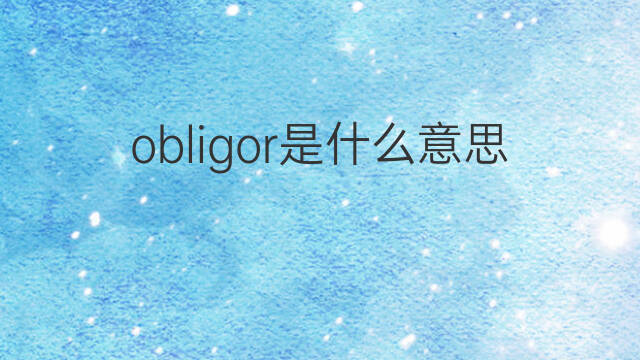 obligor是什么意思 obligor的中文翻译、读音、例句