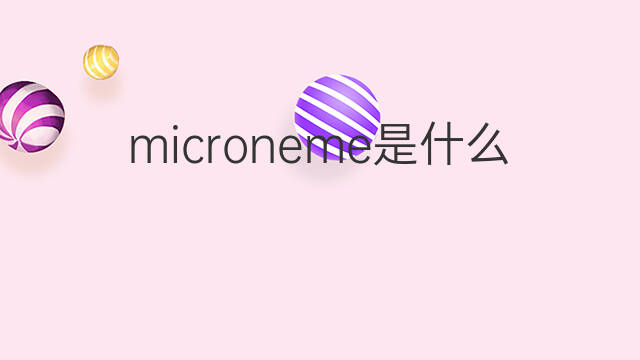 microneme是什么意思 microneme的中文翻译、读音、例句