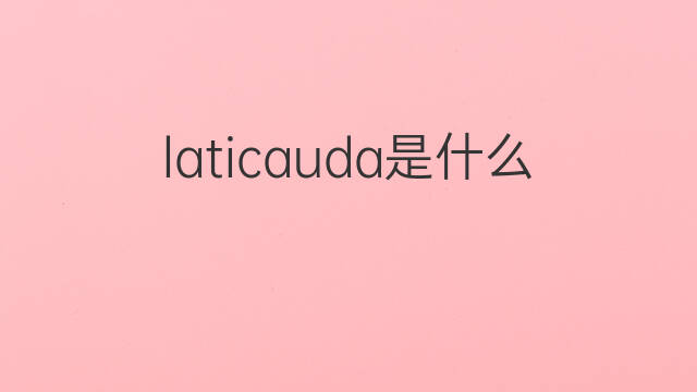 laticauda是什么意思 laticauda的中文翻译、读音、例句