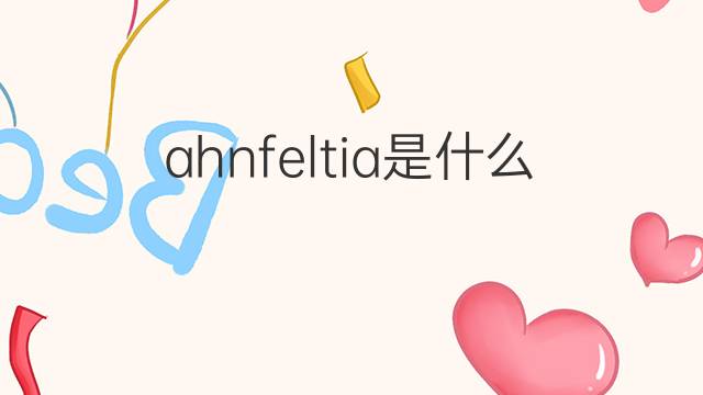 ahnfeltia是什么意思 ahnfeltia的中文翻译、读音、例句
