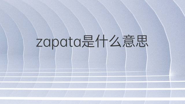 zapata是什么意思 zapata的中文翻译、读音、例句